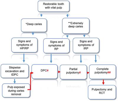 Reducing Intervention in the COVID-19 Era: Opportunities for Vital Pulp Treatment